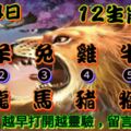 2019年1月14日，星期一農歷臘月初九（戊戌年乙丑月辛亥日），法定工作日。