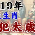 2019年有四大生肖犯太歲，我們該怎麼化解？