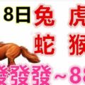 2月18日生肖運勢_兔、虎、馬大吉