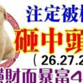 百年不遇！26.27.28日註定被橫財砸中頭，因橫財而暴富4生肖