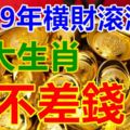 2019年最不差錢的生肖，是你嗎?