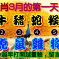 2019年3月1日，星期五農歷正月廿五（己亥年丙寅月丁酉日）