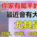 你家有91年、79年、67年、03年的生肖羊嗎？最近有好事