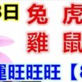 4月8日生肖運勢_兔、虎、羊大吉