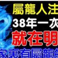 屬龍人：就在明天，38年一遇的好運到！你家裡有屬龍的嗎？