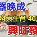 大器晚成，40歲後才能興旺發達的四大生肖