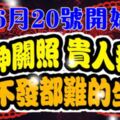 6月20號開始，財神關照，貴人提攜，想不發都難的生肖