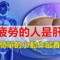 容易疲勞的人是【肝不好】，教你一個最簡單的小動作，最養肝、更健康！