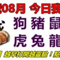 30號08月，今日我最旺！狗豬鼠牛虎兔龍蛇！【33188】越早打開越靈驗！點個讚吧！