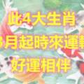 3月，時來運轉的4大生肖【豬猴馬狗】