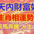 10天內財富如雨，3大生肖相運勢反彈，事業策馬奔騰，人生大轉彎