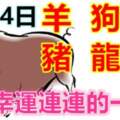 6月14號生肖運勢_羊、狗、虎大吉