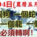 7月04日(農曆5月14)要格外留心了，一個狗，一個蛇，一個龍，一個馬！大吉大利！