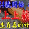 8月24號開始抽中上上簽，八大生肖真的好幸運