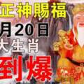 10月20日福德正神賜福，八大生肖請接福