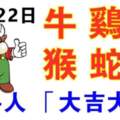 12月22日生肖運勢_牛、雞、龍大吉