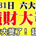 8月31日橫財大發，要中大獎的生肖