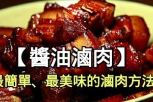 【醬油滷肉】最簡單、最美味的滷肉方法！香到骨子裡！！！