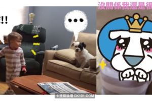 小主人發現狗狗不會接球後...立馬做出超暖心的舉動（圖）