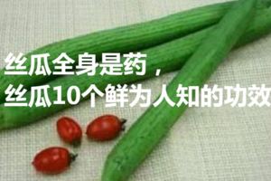 絲瓜全身是藥，絲瓜10個鮮為人知的功效風疹團、風疙瘩、風疹塊（與風疹名稱相似，但卻非同一疾病）