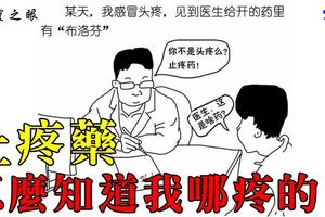 止疼藥怎麼知道我哪疼的？