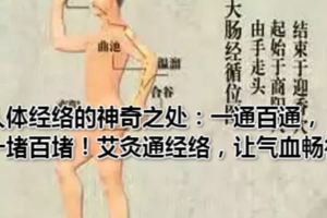 人體經絡的神奇之處：一通百通，一堵百堵！艾灸通經絡，讓氣血暢行~