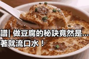 食譜|做豆腐的秘訣竟然是......看著就流口水！