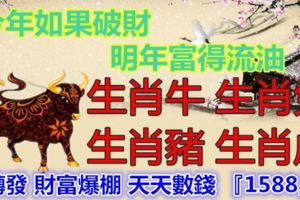 今年如果破財，明年富得流油，生肖牛生肖兔生肖豬生肖虎，轉發財富爆棚天天數錢『1588』