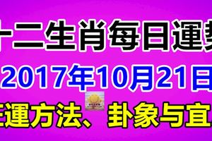 獨家十二生肖每日運勢2017年10月21日；旺運方法、卦象與宜忌