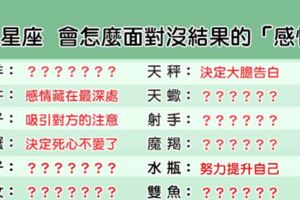 「明知道沒結果，但我還是想愛你」12星座會怎麼面對沒結果的「感情」！