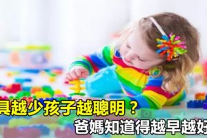 玩具越少孩子越聰明？爸媽知道得越早越好