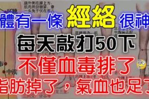 每天敲打這【經絡】50下，不僅血毒排了，脂肪掉了，氣血也足了！