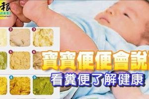 育兒寶典‧寶寶便便會說話看糞便了解健康