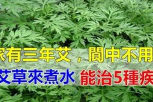 用艾草來煮水，還有很多你想不到的功效