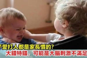 孩子脾氣大、愛打人都是家長慣的？大錯特錯，可能是大腦刺激不滿足！