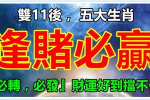 雙11後，五大生肖，逢賭必贏『必轉，必發』財運好到擋不住
