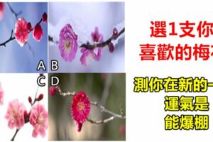 趣味測試：選1支你喜歡的梅花，測你在新的一年，運氣是否能爆棚