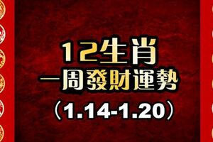 十二生肖一周運勢預報（1.14-1.20）