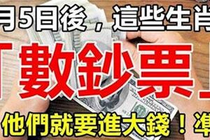 2月5號後，這些生肖就等著「賺大錢」開始「進鈔票」