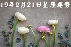 12星座日運2019.2.21，白羊追求財務目標雙魚獨立生活