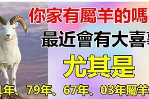 你家有91年、79年、67年、03年的生肖羊嗎？最近有好事