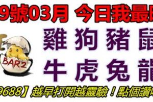 19號03月，今日我最旺！雞狗豬是牛虎兔龍！【99688】越早打開越靈驗！點個讚吧！