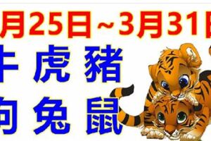 12生肖一周運勢（3月25日~3月31日）