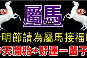 你家裡人有屬馬的嗎，清明節請為他們接福吧，今天開始*好運一輩子*