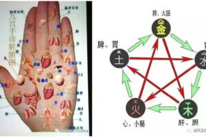 五髒之毒是什麼？在中醫看來，我們體內有很多毒素，凡是不能及時排出體外