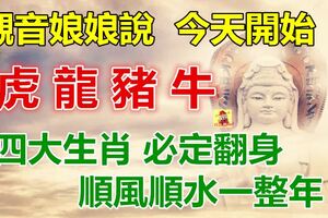 觀音娘娘說了：今天開始，四大生肖必定翻身，有你嗎？