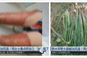 這種野菜能治風濕？兩位大姐試了試，結果差點變殘，在家自己盲目用藥，這樣會反而會危害身體健康