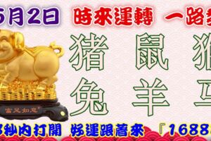 5月2日時來運轉一路發，豬鼠猴兔羊馬，88秒內打開，好運跟著來『16888』