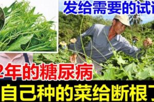 多年的糖尿病被自己種的菜給斷根了，發給需要的試一試