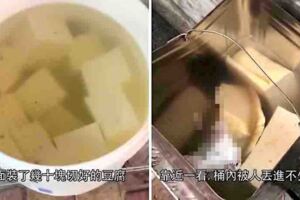 煙蒂、小強進豆腐桶照樣下鍋炸　知名臭豆腐店被踢爆：製作過程超胎割